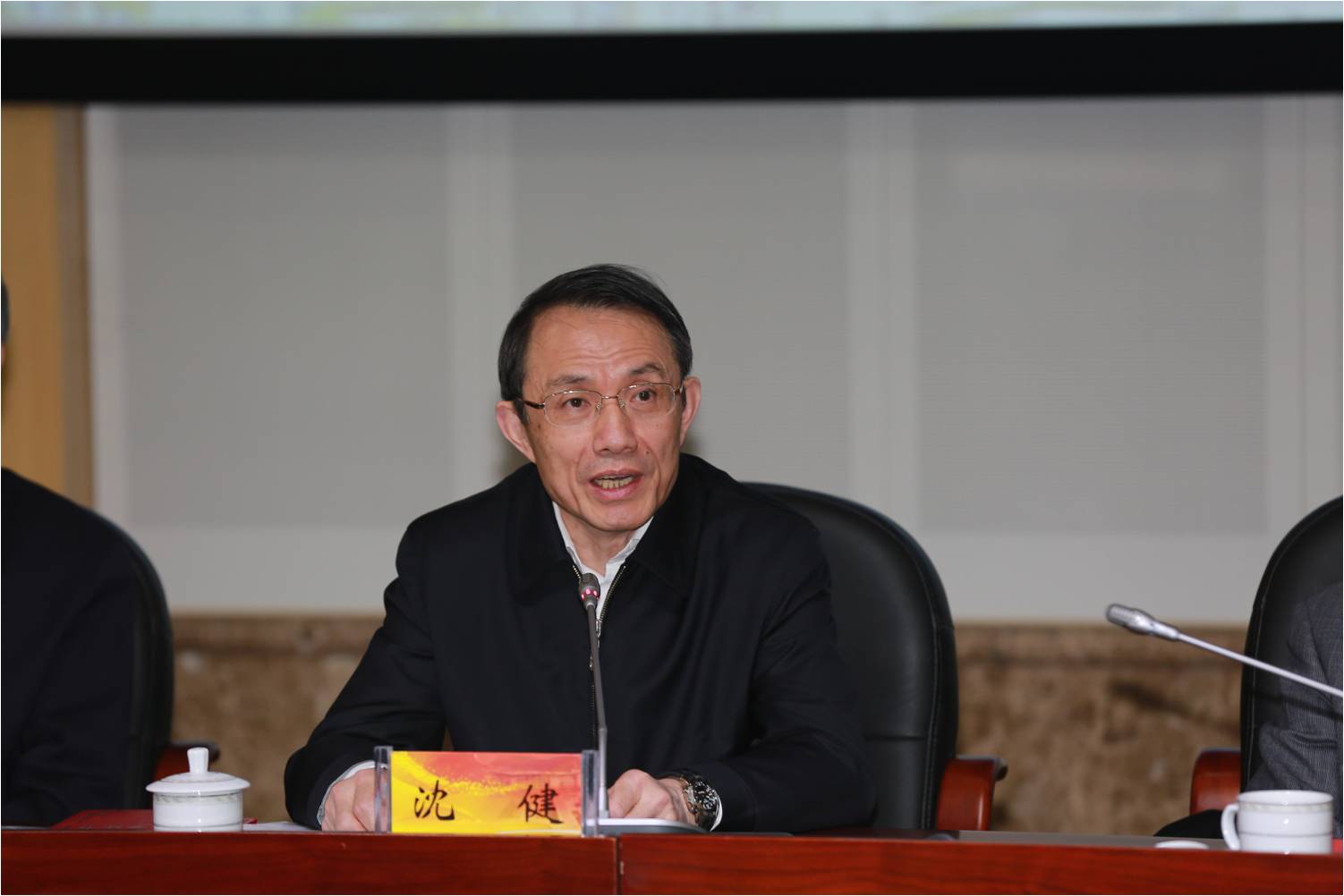 网站用-沈厅长讲话.jpg