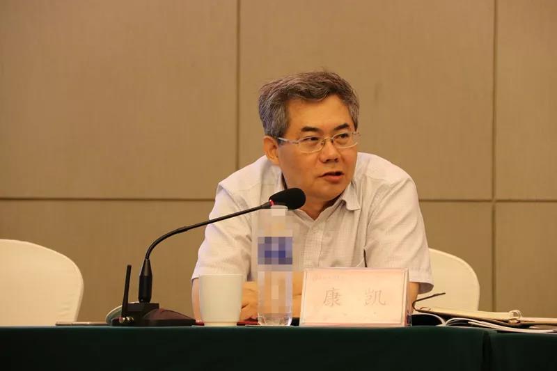 课题总负责人康凯副会长发言.jpg